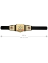 Centura WWE Undisputed Universal Championship