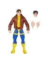 X-Men: The Animated Series Marvel Legends Figurina articulata Morph 15 cm