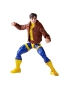 X-Men: The Animated Series Marvel Legends Figurina articulata Morph 15 cm