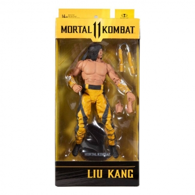 Mortal Kombat 11 Figurina articulata Liu Kang (Fighting Abbott) 18 cm